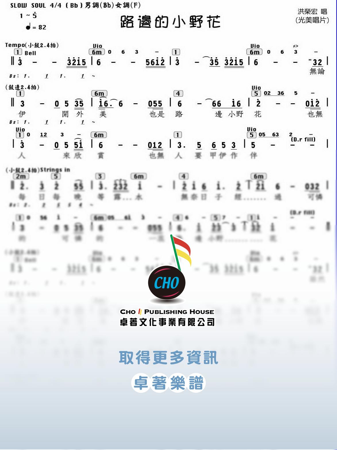 路邊的小野花